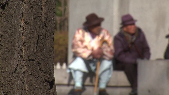우리나라 66살 이상 노인 빈곤율 OECD최고 / YTN