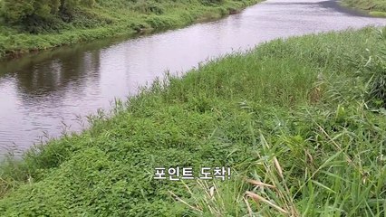 ☂비오는날 낚시하기!(마릿수 대박!!) 대물메기, 장어 원투낚시 Catfishing [괴짜낚시TV]