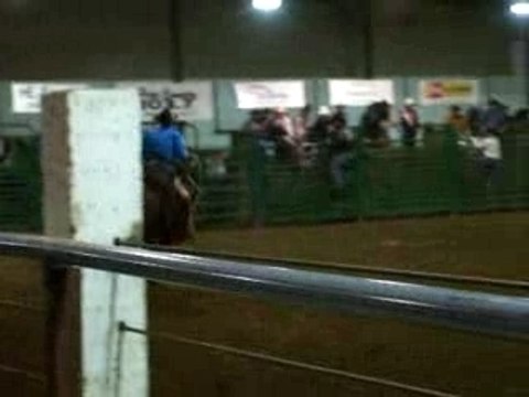 Rodéo Cheval 17 novembre 2007