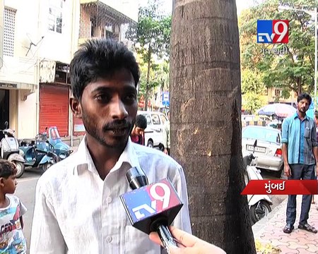 Palm tree mysteriously dripping water in Mahim, Maharashtra - Tv9 Gujarati