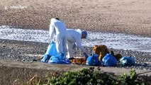 Mysterious  substance washes up on UK beach