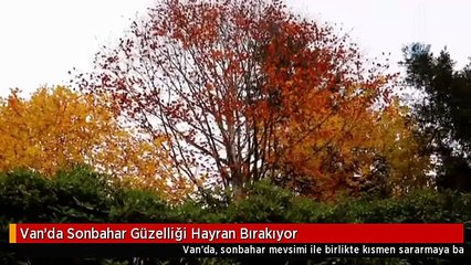 Van'da Sonbahar Güzelliği Hayran Bırakıyor