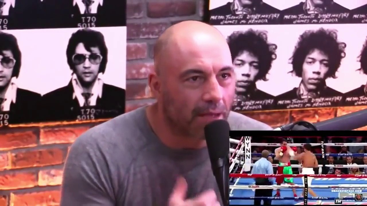 Joe Rogan on Klitschko vs Joshua fight and..Lomachenko is P4P Boxing King!
