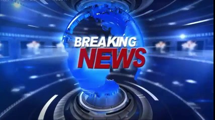 What Is Going to Happen With PMLN