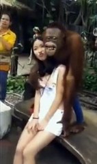 Beautiful girl with a monkey What happened