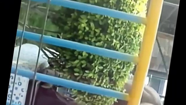 SCHOOL PICNIC FULL ON MASTI MUST WARCH Sadda adda star cast DELHI