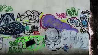 ARTE ANIMACION MURAL