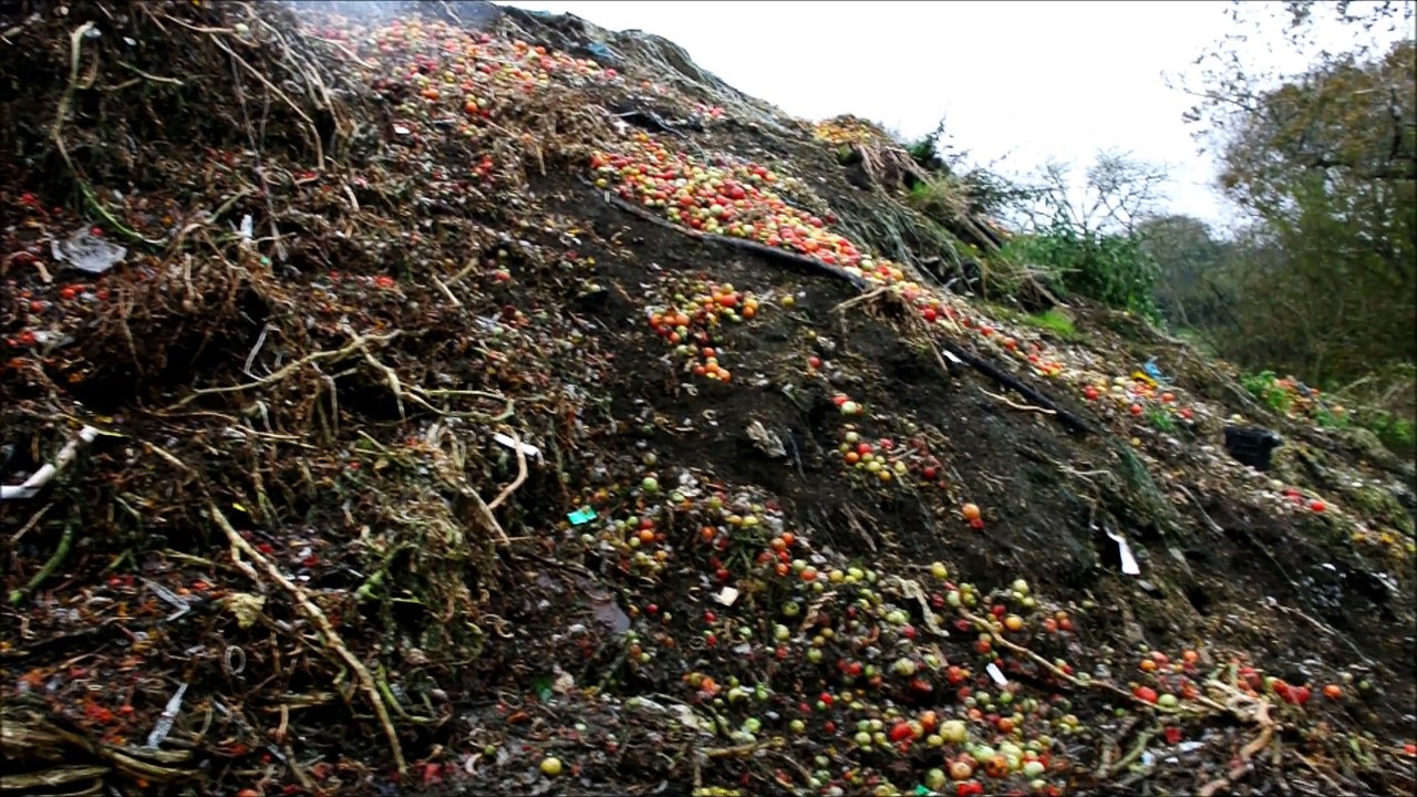 Brûlage déchets divers serres industrielles