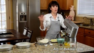 Vanilla Cake Recipe Demonstration - Joyofbaking.com