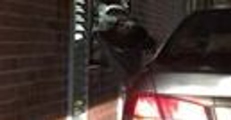 Women Climb Through Drive-Thru Window to Assault Manager Over McNuggets Order