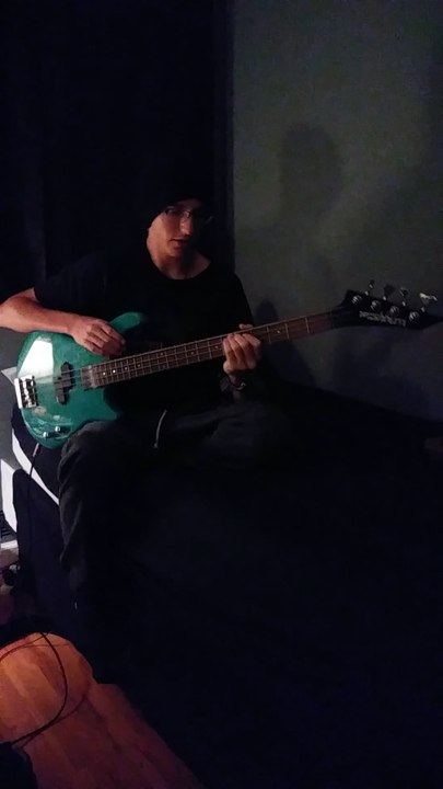 Video 2 - After a few lessons