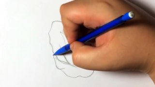 How To Draw A Rose Step By Step