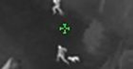 Neighborhood Dog Helps Florida Sheriff's Officers Capture Suspects