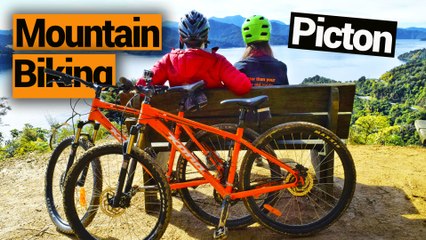 Mountain Biking in Picton  - New Zealand's Biggest Gap Year – Backpacker Guide New Zealand
