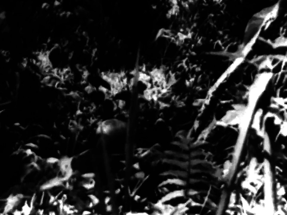 8th Army_ _Shield of the Free World_ 1961