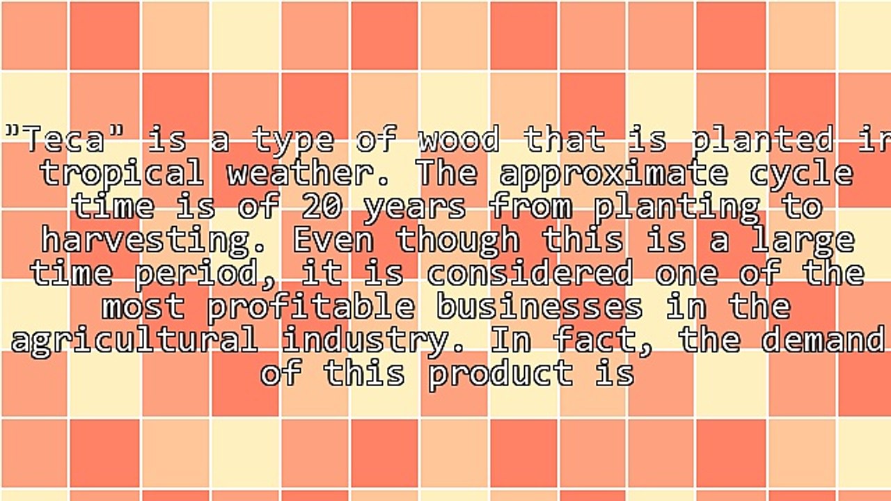 Why Investing in Long-Term Wood Plantations Is a Good Idea
