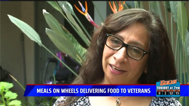 Active-Duty Troops Deliver Meals to Vets for Veterans Day