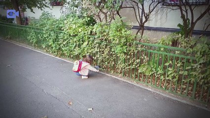 307 Baby Mizneh fun playtime with bird