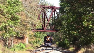 Steam Trains