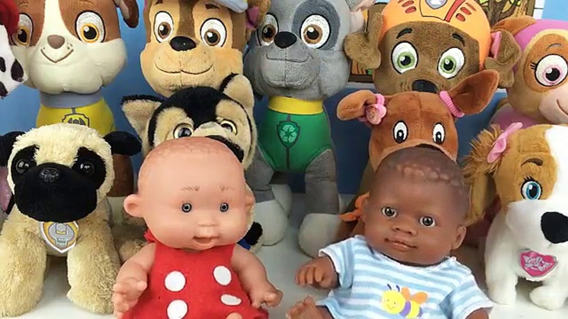 patrulla canina bebes peluches