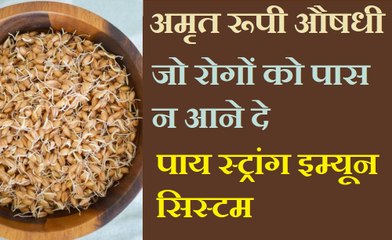 आपके घर में हैं ऐसी औषधि जो किसी भी रोग को पास न फटकने दे - कैसे ले जानिए