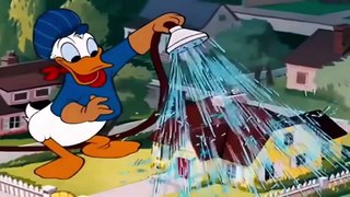 Donald Ducks Lion Trouble - Disneys Big Cat Classic Collection! Chip và Dale Funny Chipmunk