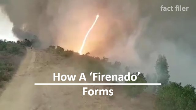 How a 'firenado' forms