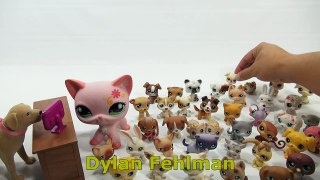 Shout-Out Time! (Video #52) Butch, LPS-Dave & Skid Mark! Littlest Pet Shop LPS Collection