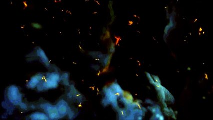 Logo animation after effects