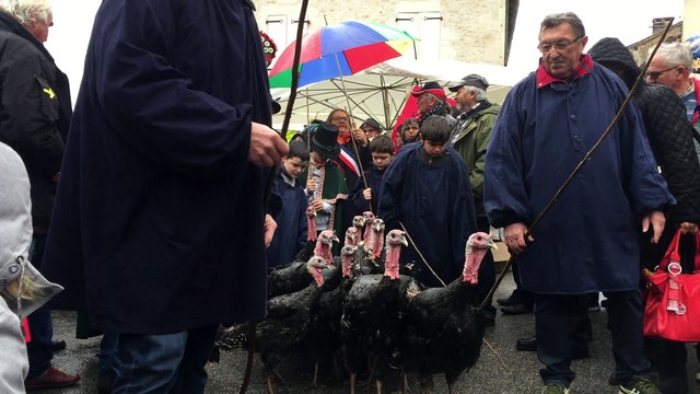 Défilé des dindons Varaignes