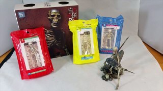 Revoltech Kaiyodo Takeya KT Project Rement Re-ment Skeleton Toy Comparison and Review