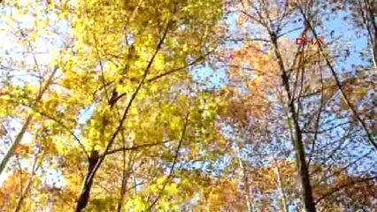 Gaziantep İdilli Vadisi'nde, Sonbahar Güzelliği