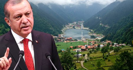Erdoğan'ın Talimatının Ardından Uzungöl'de Yıkımlar Başlıyor