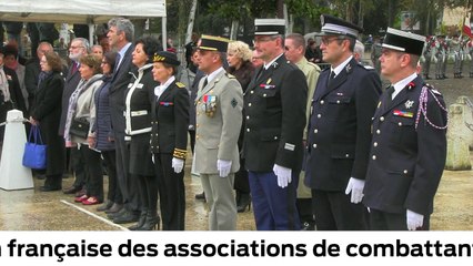 Cérémonie et défilé militaire pour le 99e anniversaire de l'armistice de 1918