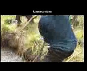 funny clips   funniest videos   6 african men catching a snake 1