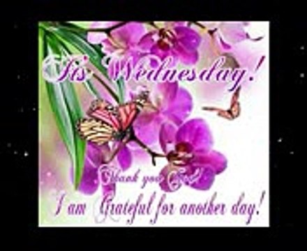 Inspirational Happy Wednesday Morning Images Quotes with funny images