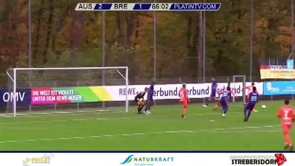 Austria 2:2 Dinamo Brest (Friendly Match. 10 November 2017)
