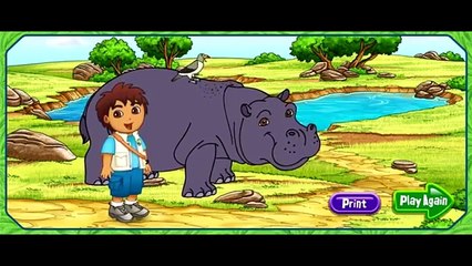 Go Diego Go! English Episode for Kids Dora the Explorer