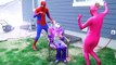 Superhero Compilation Frozen Elsa Twin Babies Mermaids Spiderman Pink Spidergirl Maleficent Vs Joker
