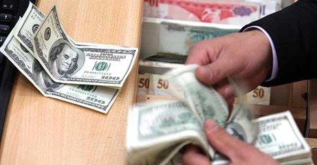 Yerli Yatırımcılar, 14 Milyar Dolorlık Döviz Satarak TL'ye Kalkan Oldu