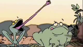 Funny Frog Video Clips