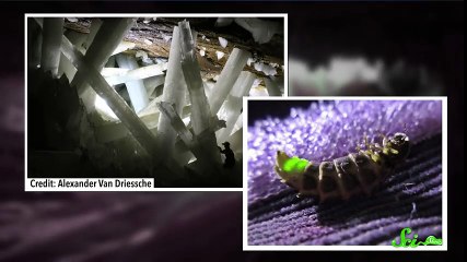 Weird Places- Movile Cave