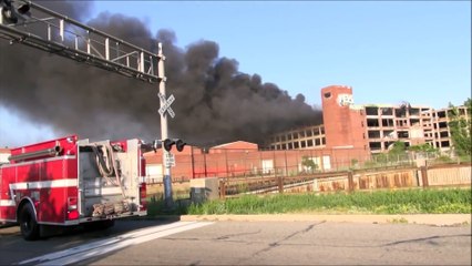 DETROIT'S WILD AND WEIRD SIGHTS