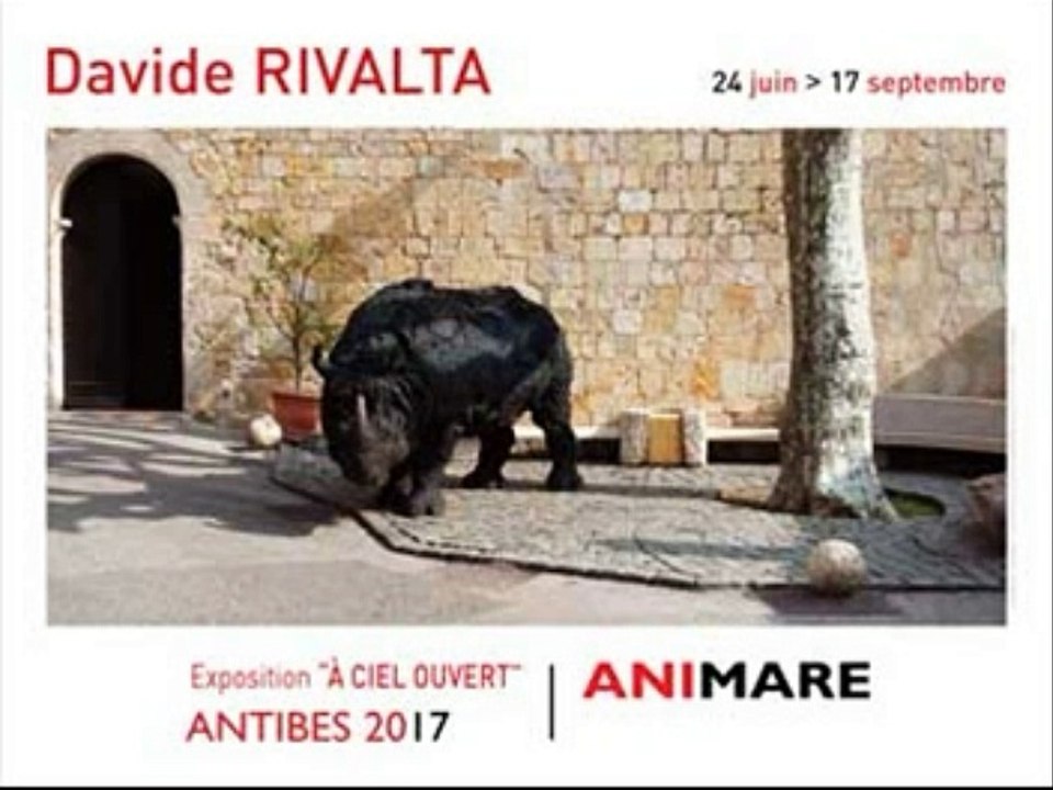Animare Antibes aout 2017