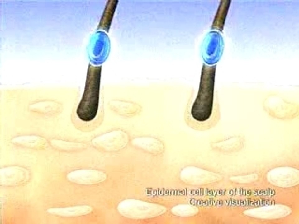 Angel Locsin - Richard Gutierrez - Head and Shoulders TV Ad