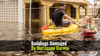 Lessons From Hurricane Harvey: Houston’s Struggle Is America’s Tale