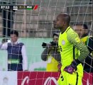 Cezayir - Nijerya maçında şaşırtan penaltı kararı