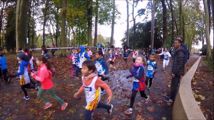 Cross de la Rose Course éveils le 12/11/2017