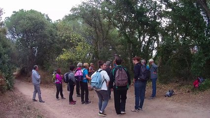 Rocher de roquebrune