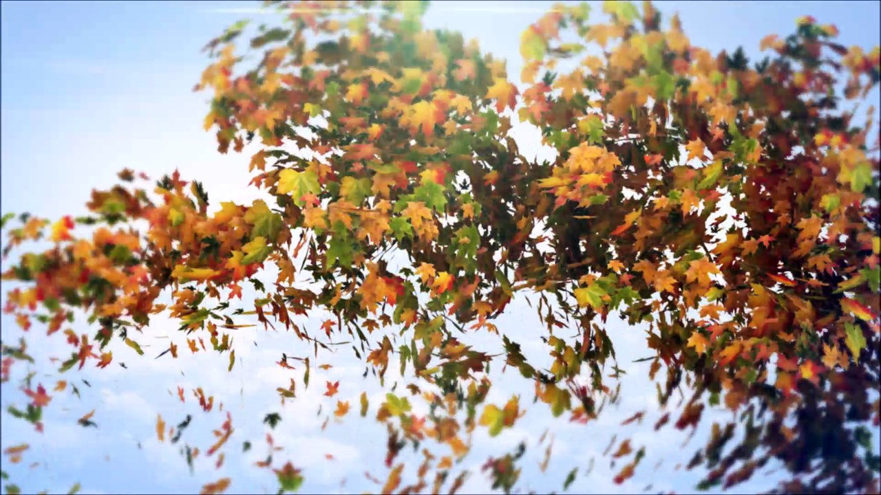 125 facettes de GACÉ